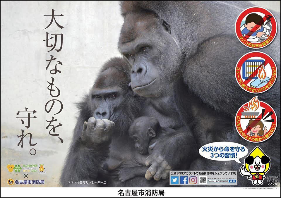 ウルフィ　オブジェ